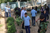 بالصور: مؤسسة الرابطة تزرع 60 شجرة حمضيات في المدرسة الثانوية الشاملة